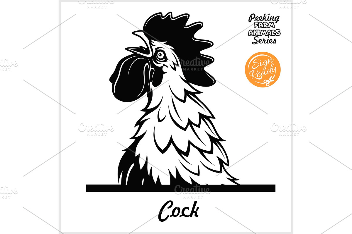 Peeking Cock - Cheerful Rooster in Illustrations - product preview 8