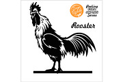 Full-length Rooster - Cock - side