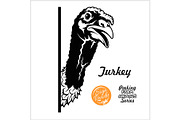 Peeking Turkey - Cheerful gobbler