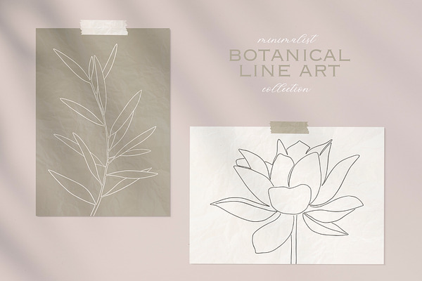 Botanical line art collection