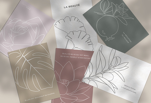Botanical line art collection in Illustrations - product preview 2
