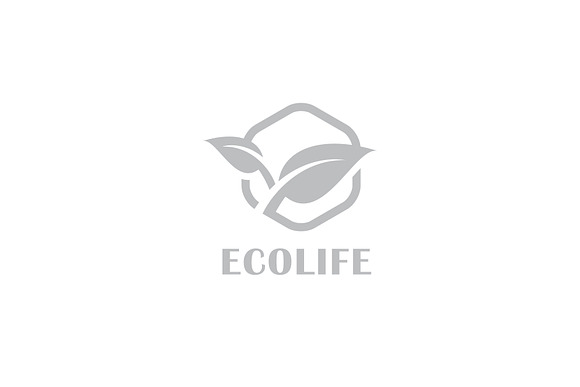 Hexagon Eco Logo in Logo Templates - product preview 1