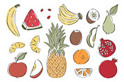 Fruits sketch. Vector illustration