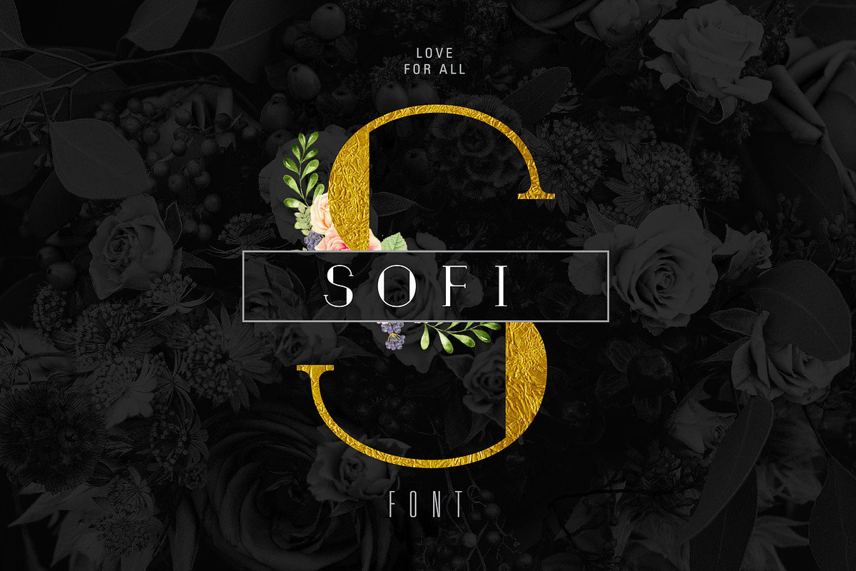 Sofi Font | 4 Weights in Serif Fonts - product preview 8