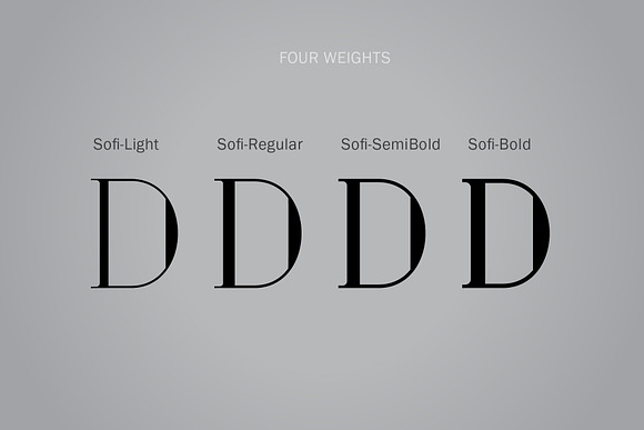 Sofi Font | 4 Weights in Serif Fonts - product preview 3