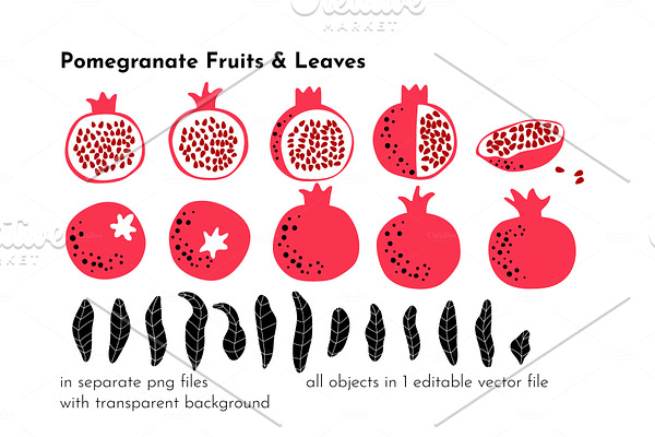 Pomegranate Drawing & Patterns