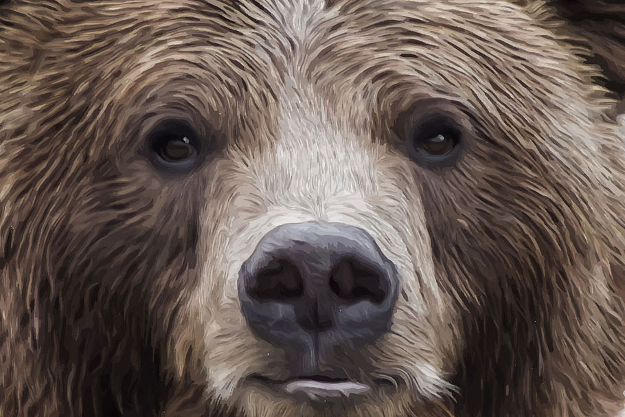 Grizzly Bear Illustration V