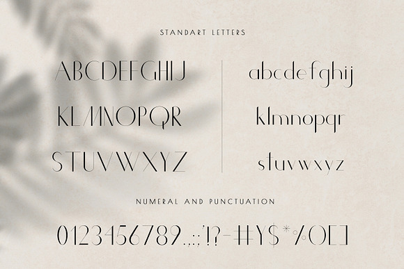Chic Luxury Font Duo in Sans-Serif Fonts - product preview 11