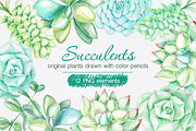 Succulents Drawn by Color Pencils