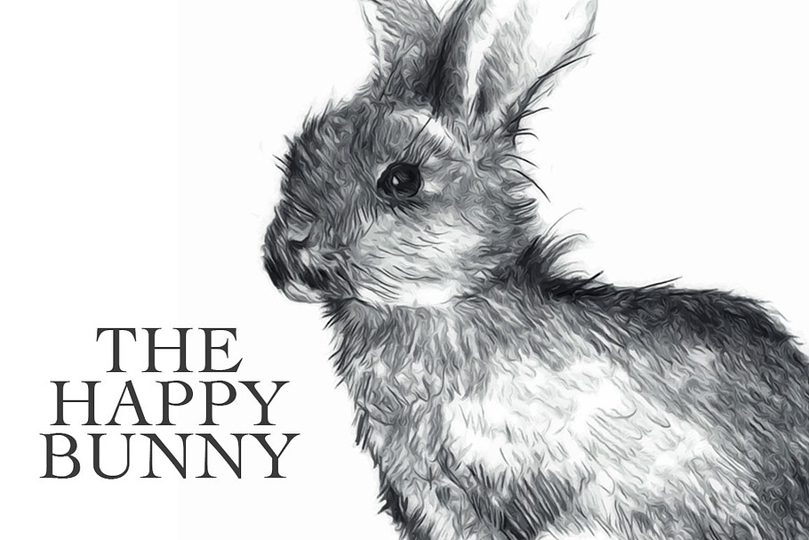 The Happy Bunny Sketch in Illustrations - product preview 8