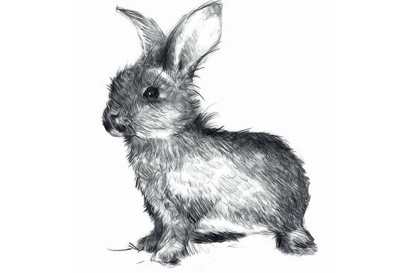 The Happy Bunny Sketch in Illustrations - product preview 1