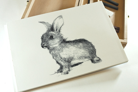 The Happy Bunny Sketch in Illustrations - product preview 2
