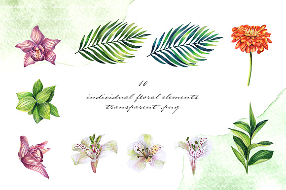 Spring mood. Watercolor floral set in Illustrations - product preview 4