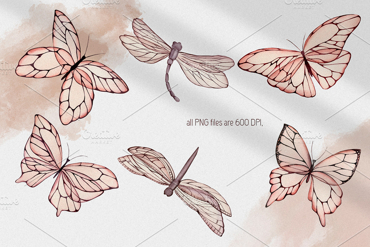Butterflies charming in Illustrations - product preview 8