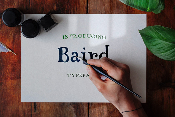 Baird Hand Serif Typeface in Serif Fonts - product preview 9
