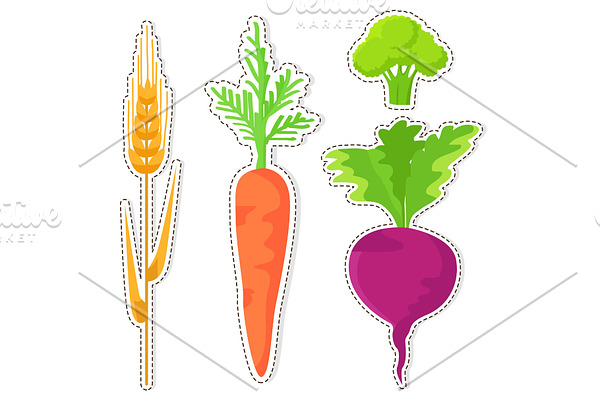 Ripe Cereal and Vegetables Vector