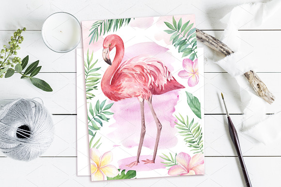 Tropical Blossom Watercolor Set in Illustrations - product preview 6