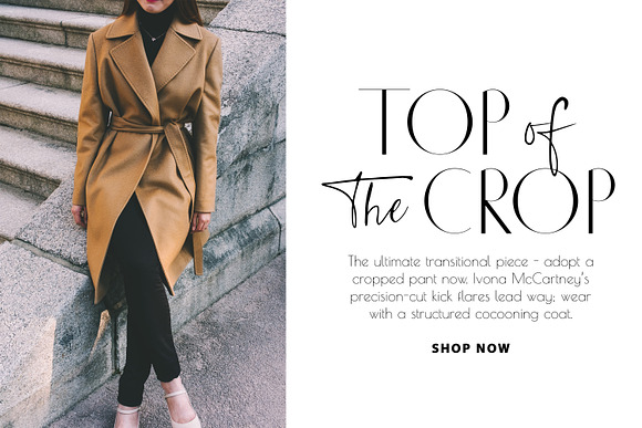 Chic Luxury Font Duo in Sans-Serif Fonts - product preview 15