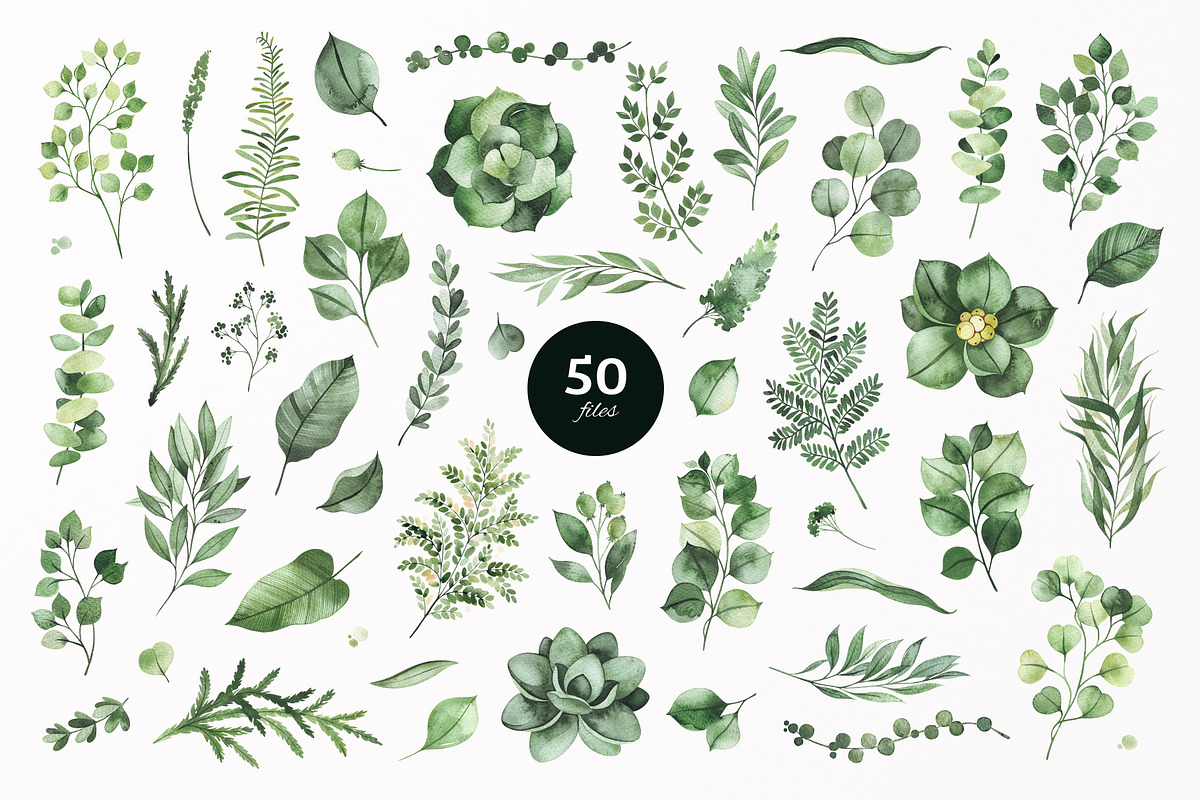 Watercolor Greenery in Illustrations - product preview 8