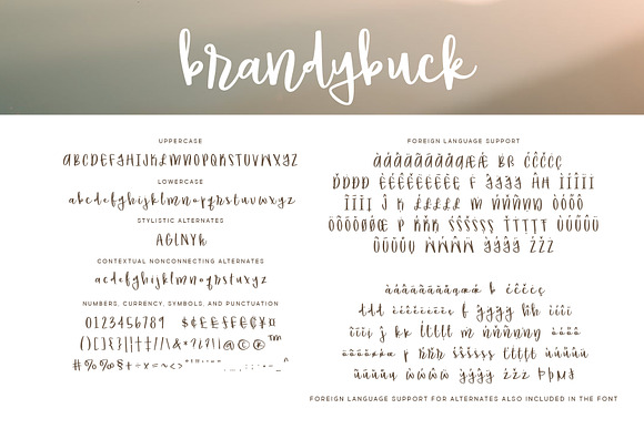 Brandybuck in Script Fonts - product preview 1