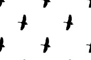 Birds Flying Graphic Silhouette Seam