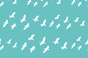 Group of Birds Flying Graphic Silhou