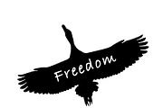 Freedom Concept Graphic Silhouette I