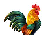 Colorful realistic rooster