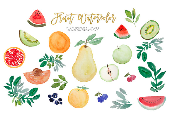 Watercolor Tropical Fruit Clipart in Illustrations - product preview 1