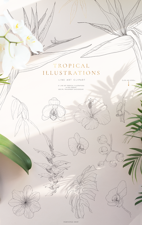 Tropical paradise. Line art set in Illustrations - product preview 2