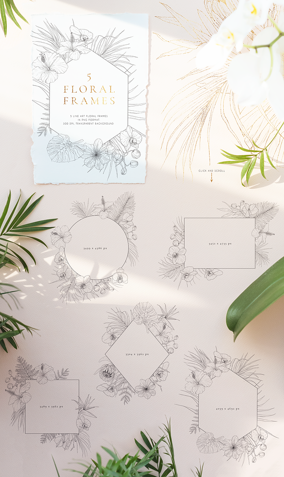 Tropical paradise. Line art set in Illustrations - product preview 3