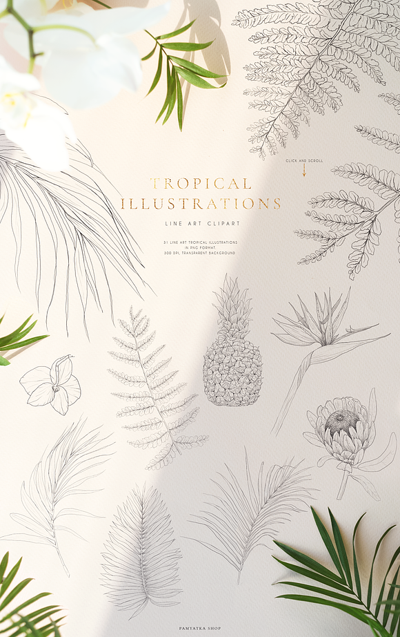 Tropical paradise. Line art set in Illustrations - product preview 4