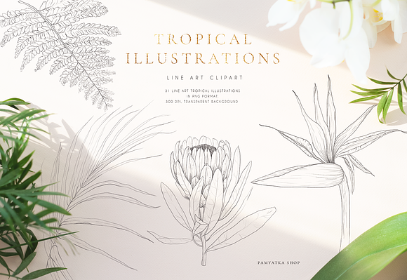 Tropical paradise. Line art set in Illustrations - product preview 7