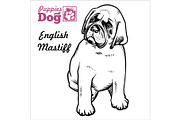 English Mastiff puppy sitting