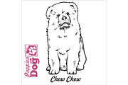 Chow Chow puppy sitting. Drawing by