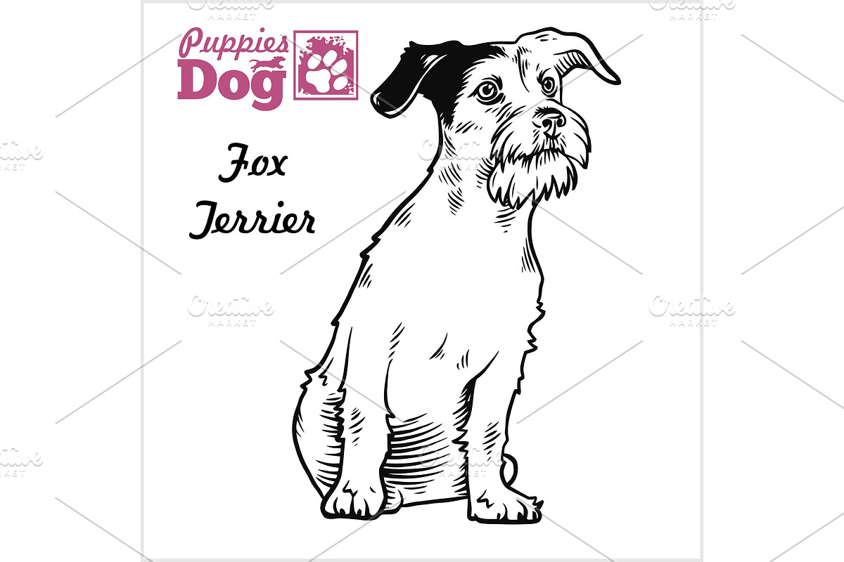 Fox Terrier puppy sitting. Drawing in Illustrations - product preview 8