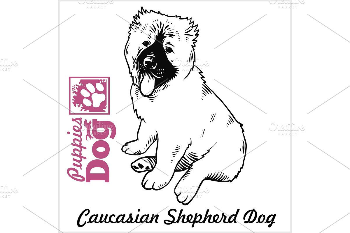 Caucasian Shepherd Dog puppy sitting in Illustrations - product preview 8