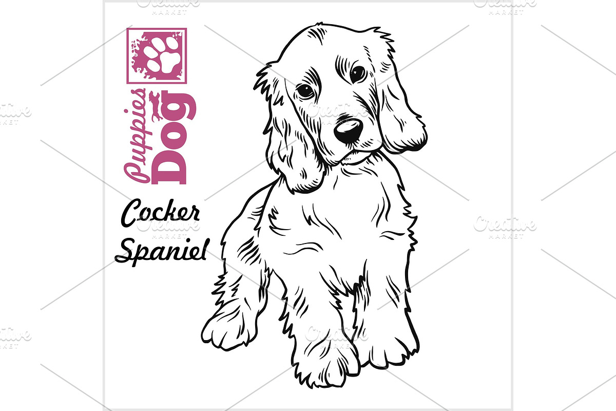 Cocker Spaniel puppy sitting in Illustrations - product preview 8