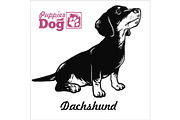 Dachshund puppy sitting. Drawing by