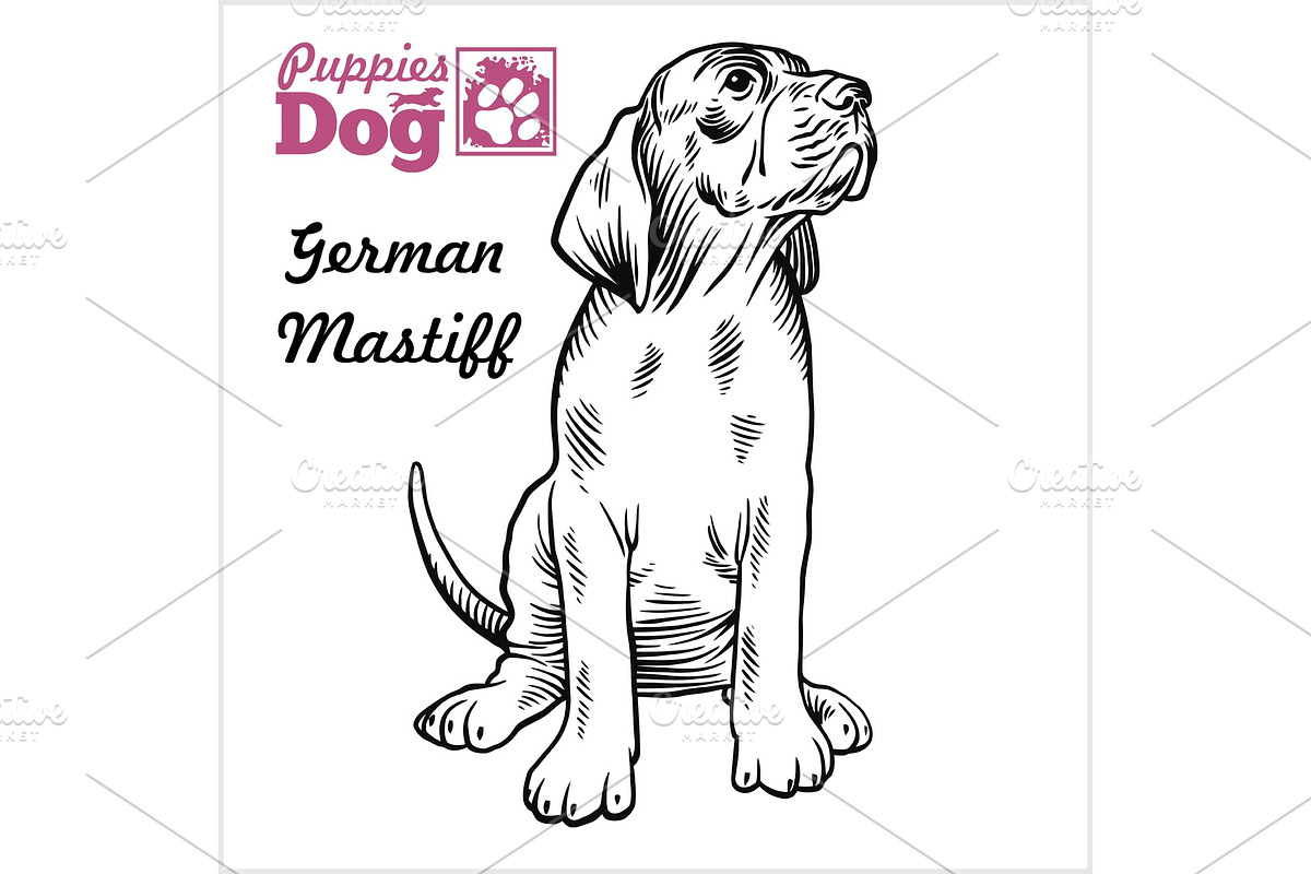 German Mastiff puppy sitting in Illustrations - product preview 8
