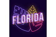 Florida vintage 3d vector lettering