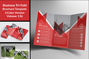 Business Tri-fold Brochures  Design