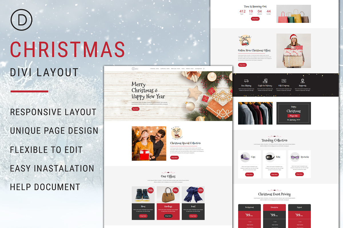 Christmas – Divi Theme Layout in WordPress Landing Page Themes - product preview 8
