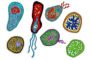 Colorful amebas, amoebas, microbes a
