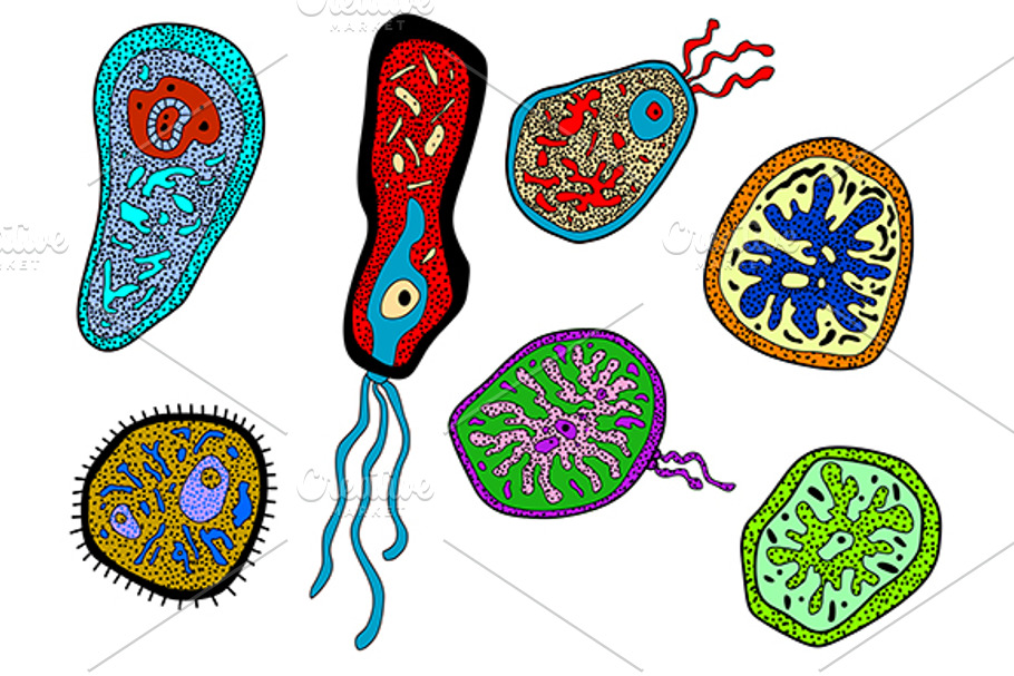 Colorful amebas, amoebas, microbes a in Graphics - product preview 8