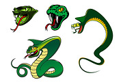 Cartoon angry snake characters