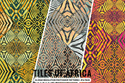 Tiles of Africa