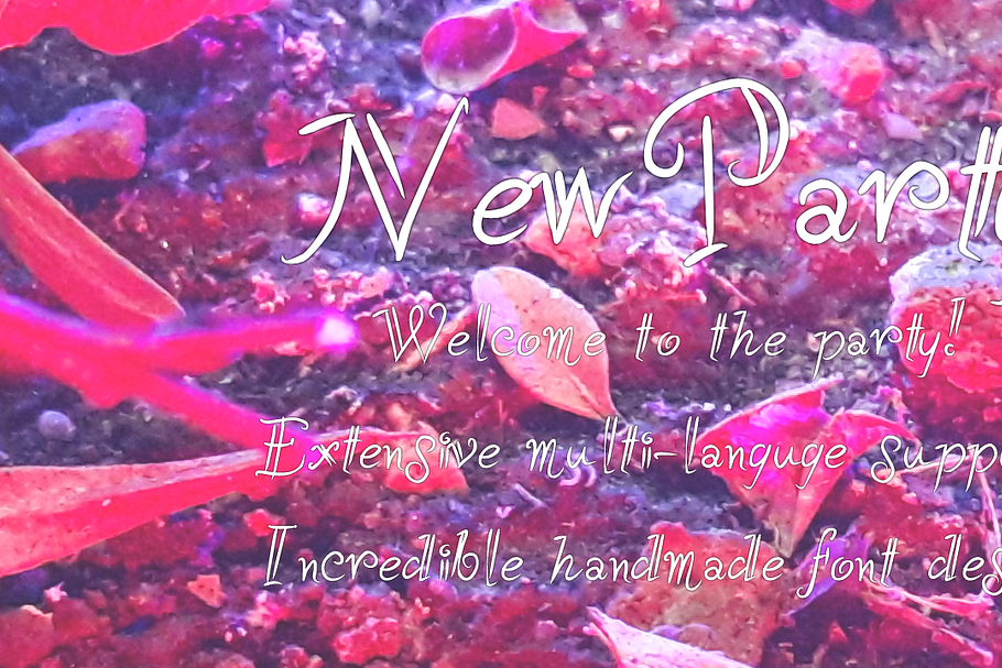 NewParty, a loose outlined font in Fonts - product preview 8