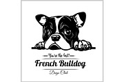 French Bulldog - Peeking Dogs -