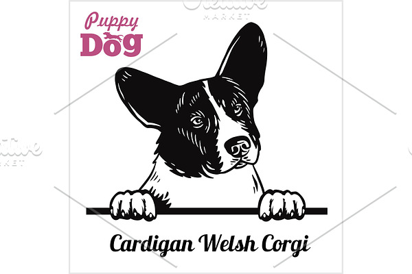 Cardigan Welsh Corgi - Peeking Dogs